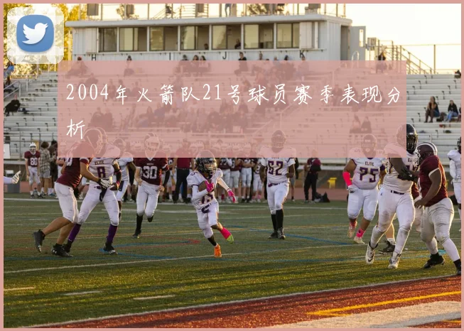 2004年火箭队21号球员赛季表现分析